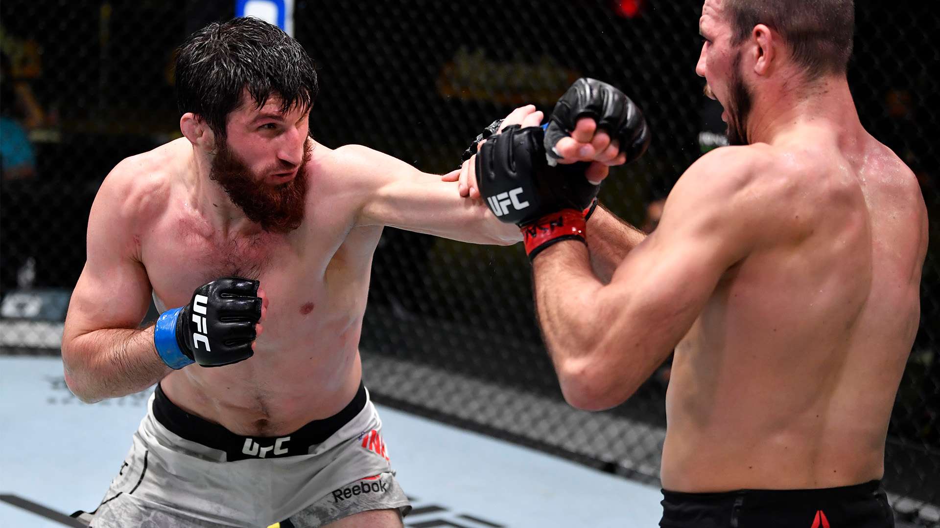 安东尼的重 安东尼的重