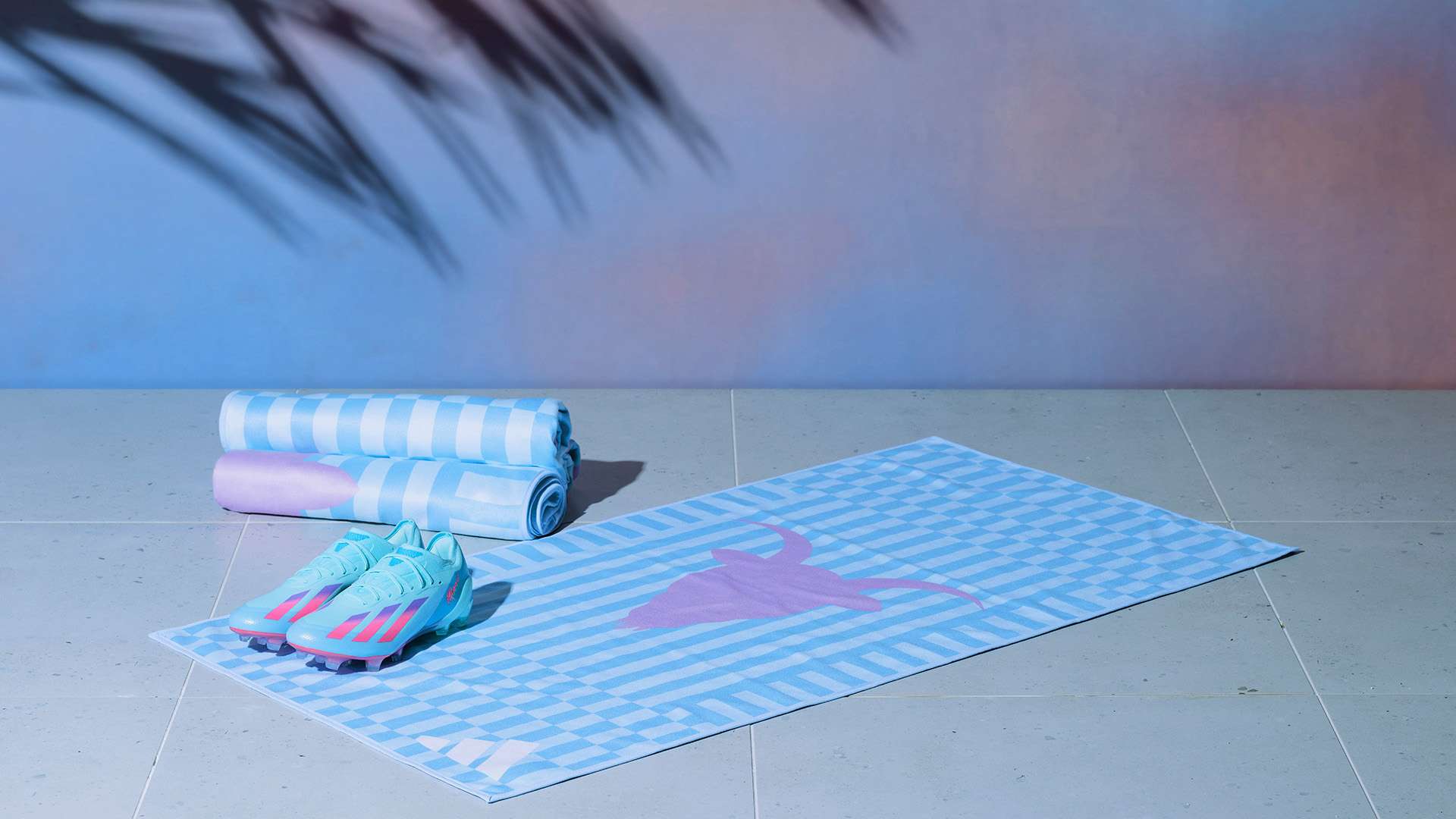 在国际赛事 在国际赛事