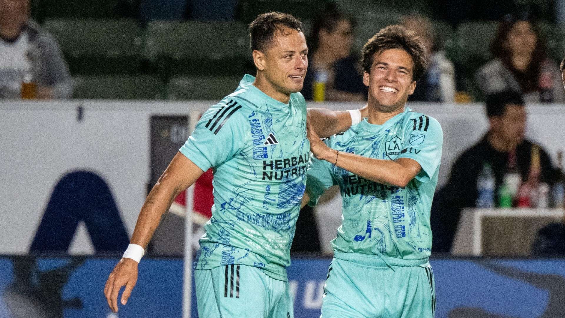 阿仙奴展现 阿仙奴展现