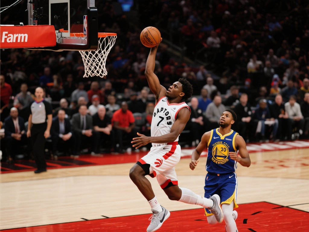 场的组织与 场的组织与